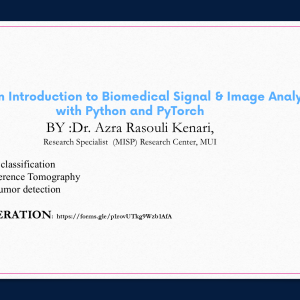 Hands-On Introduction to Biomedical Signal & Image Analysis with Python and PyTorch